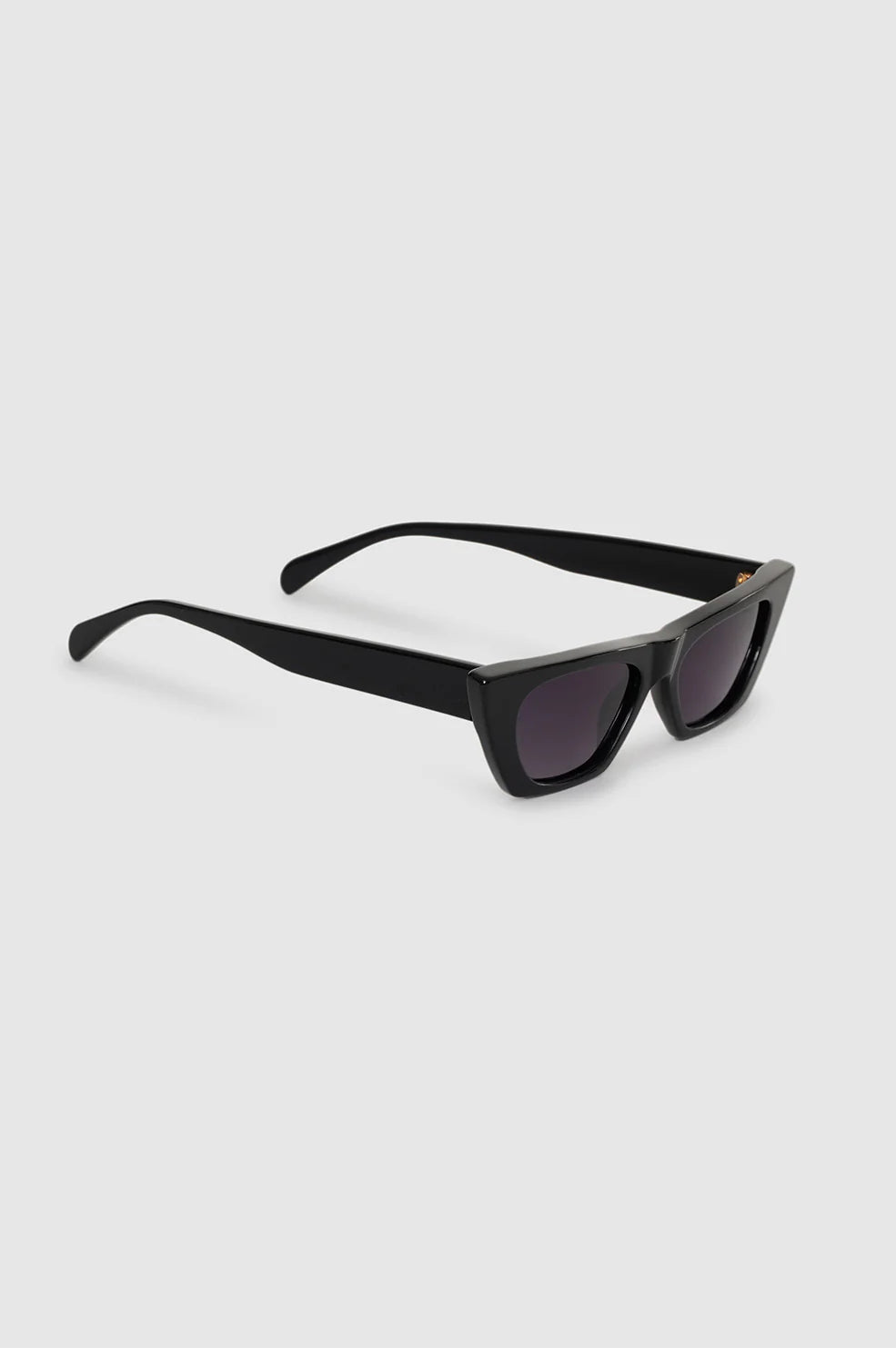 Pierre Sunglasses in Black