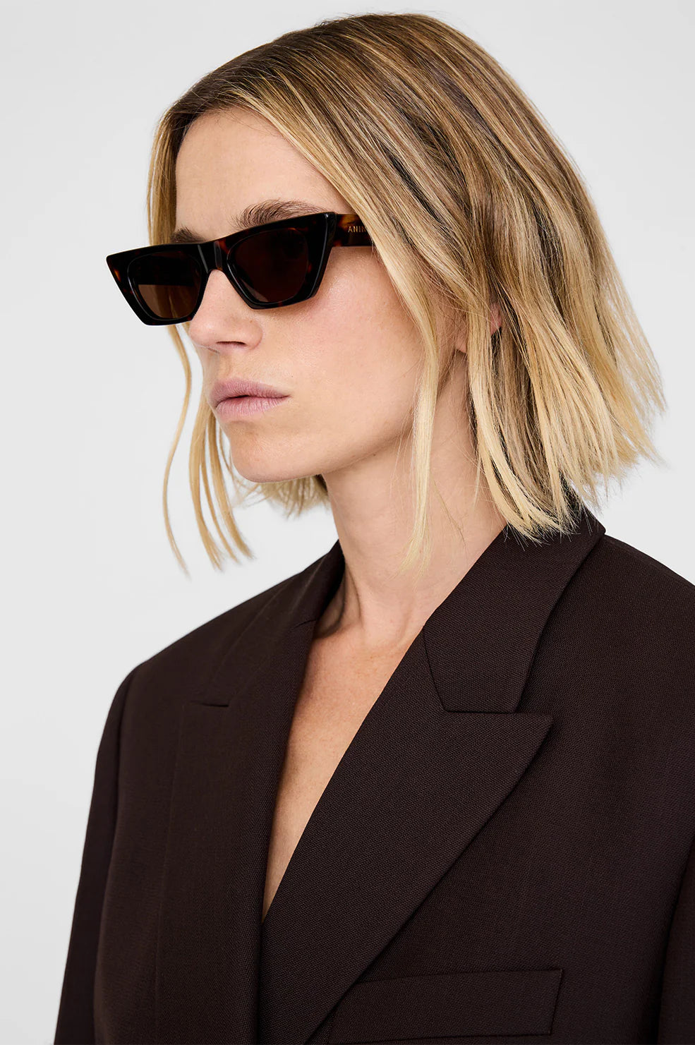 Pierre Sunglasses in Dark Tortoise