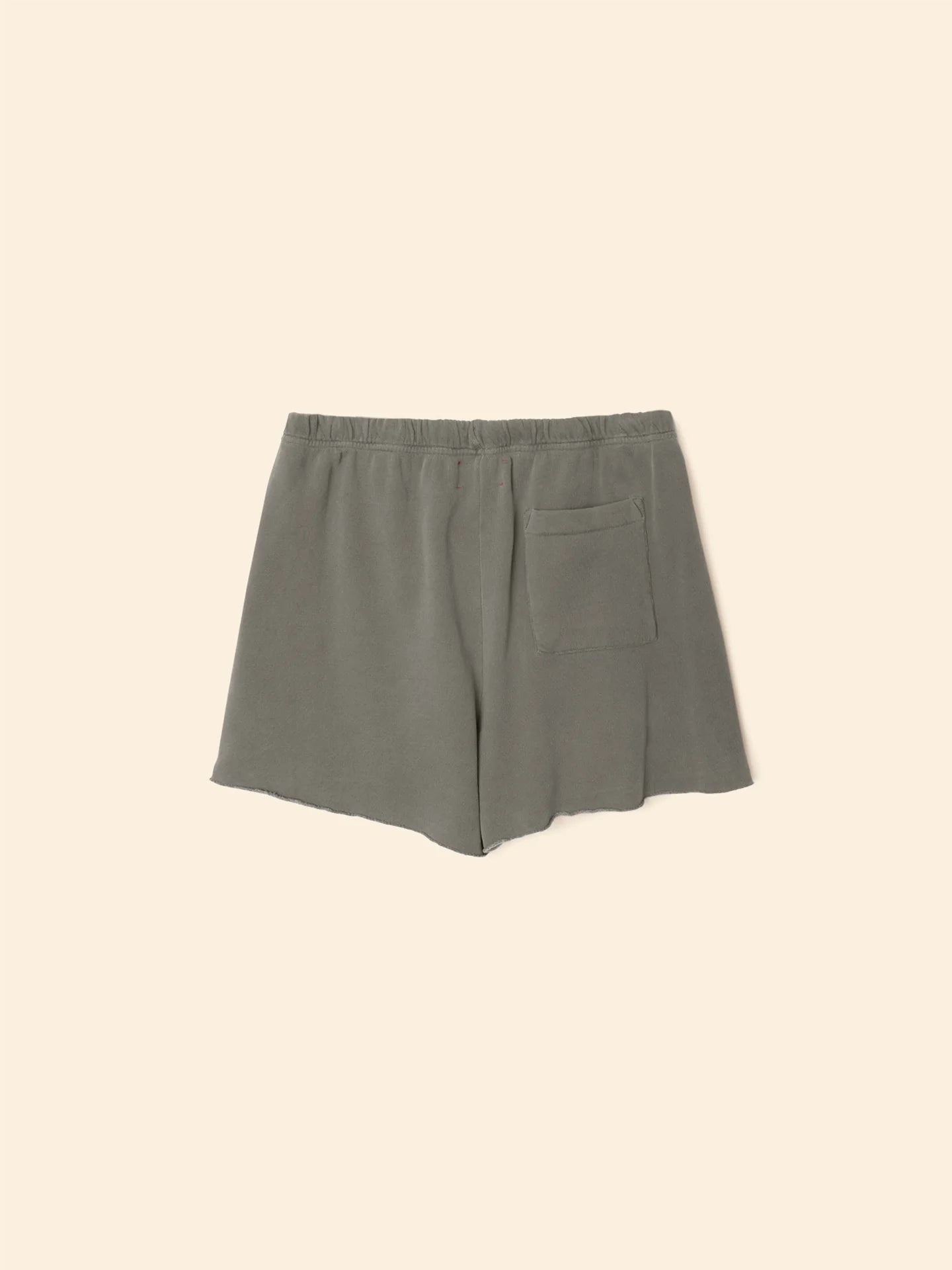 Shawn Terry Short in Ashphalt