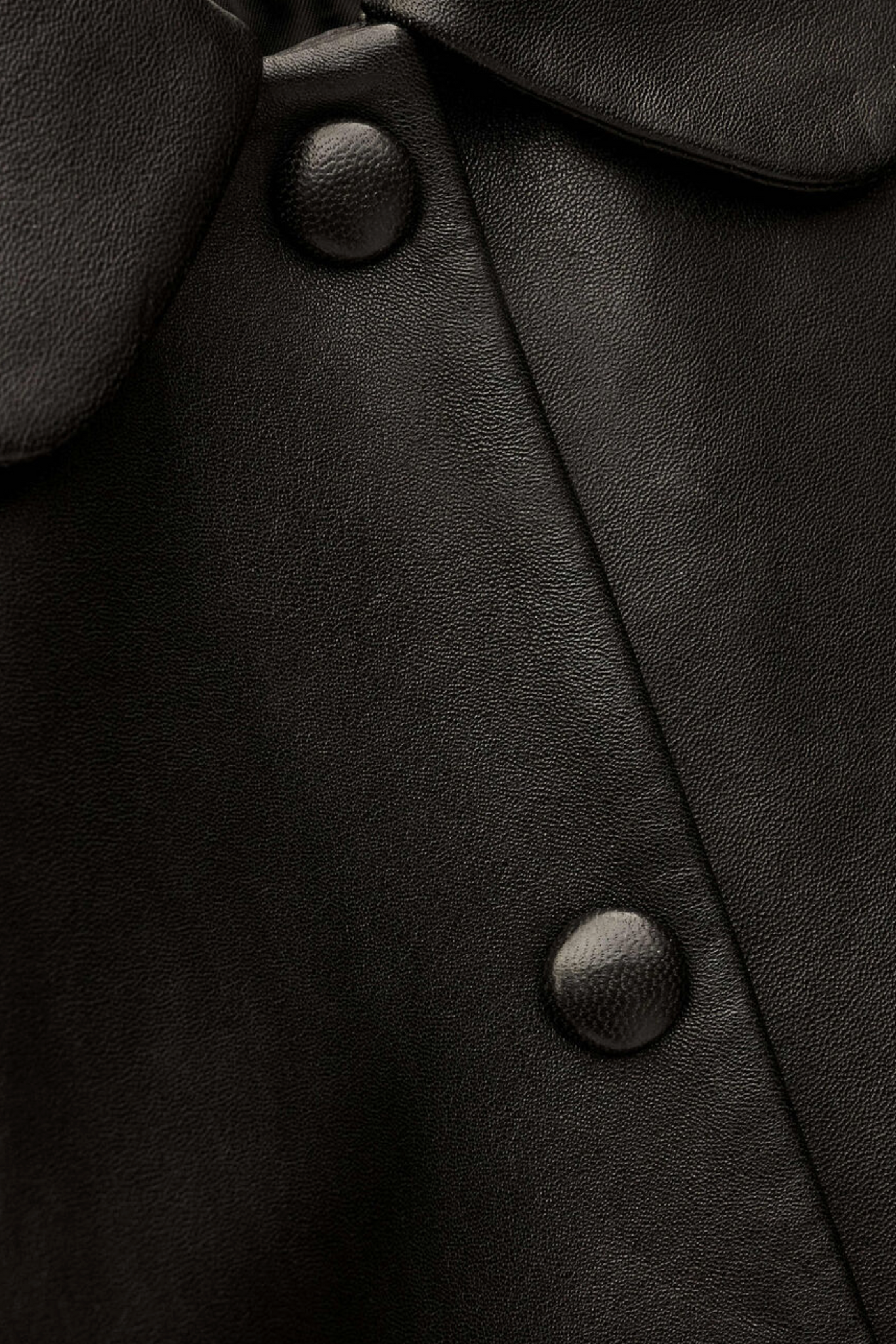 Mylos Jacket. Black Leather