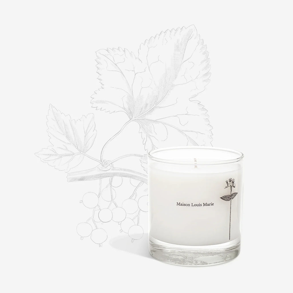 Candle | Antidris Cassis