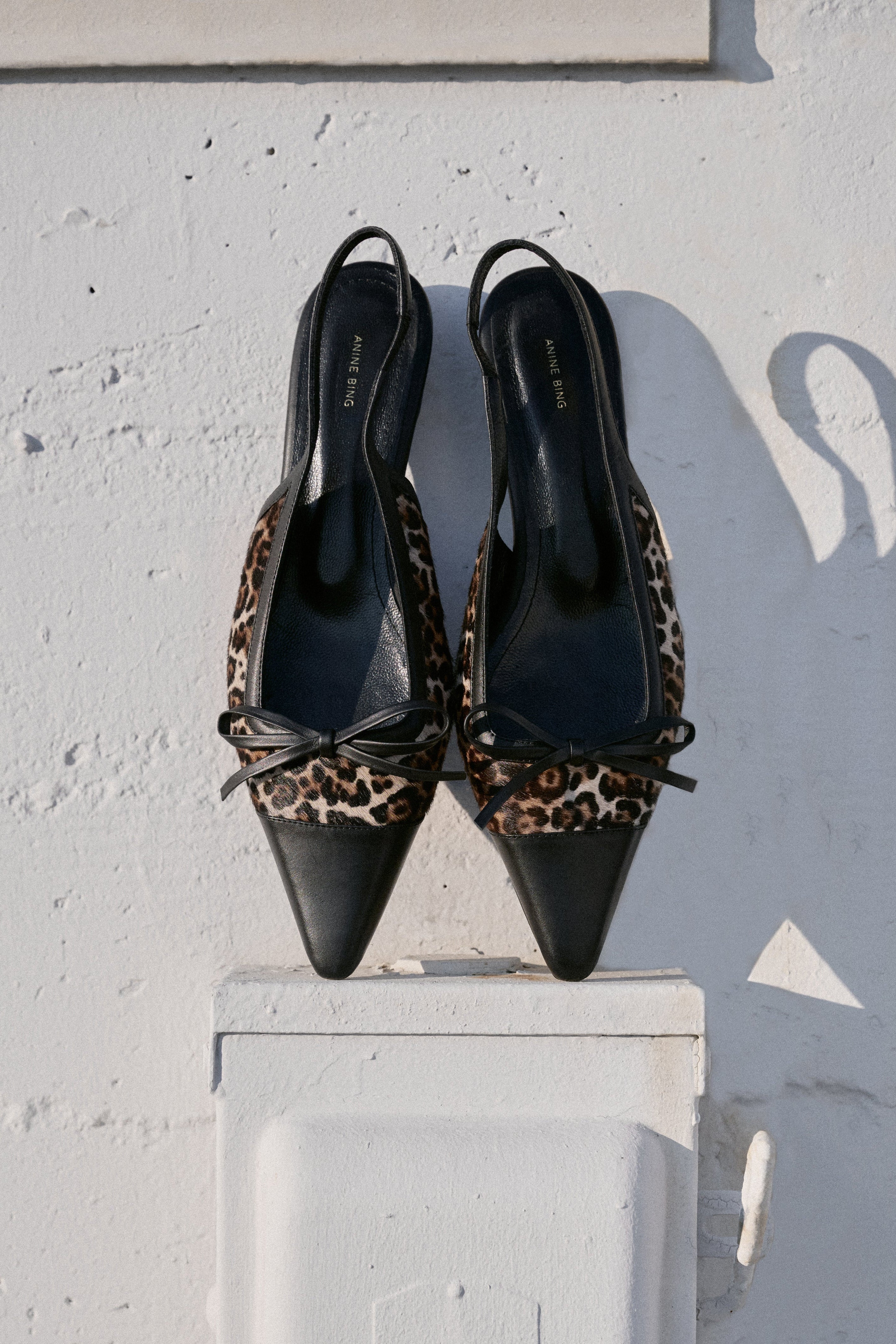 Shop Shoes