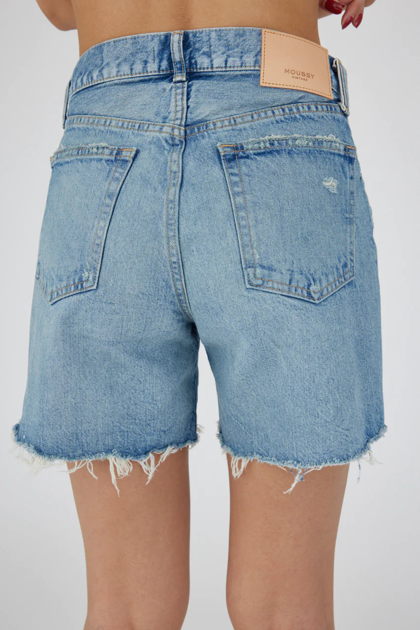 Graterford Shorts in Blue