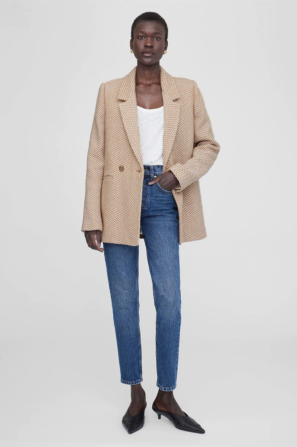Fishbone blazer 2025 anine bing