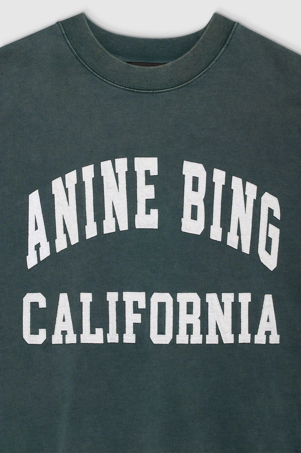 Miles Sweatshirt Anine Bing in Washed Dark Sage