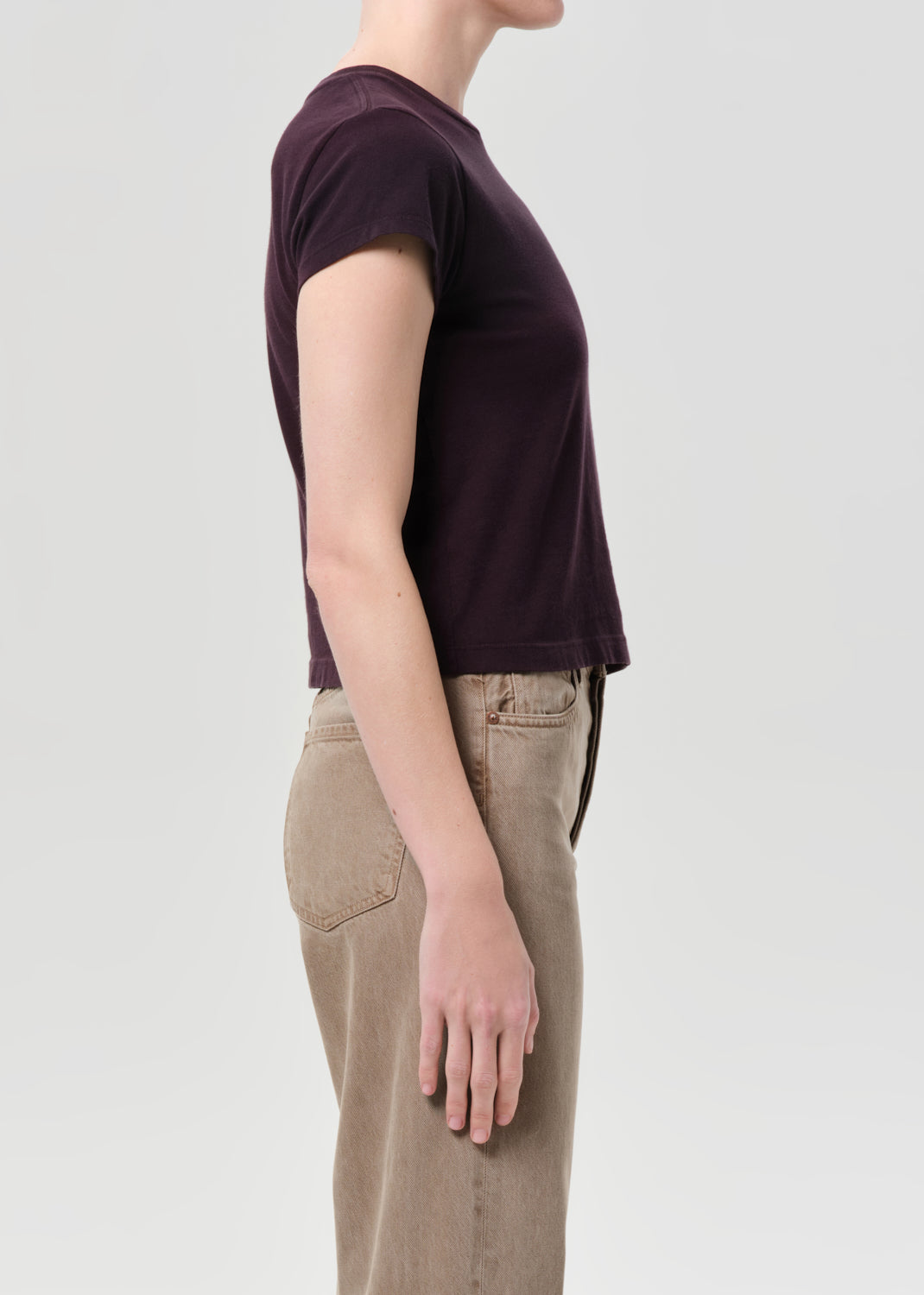 Adine Shrunken Tee in Eggplant