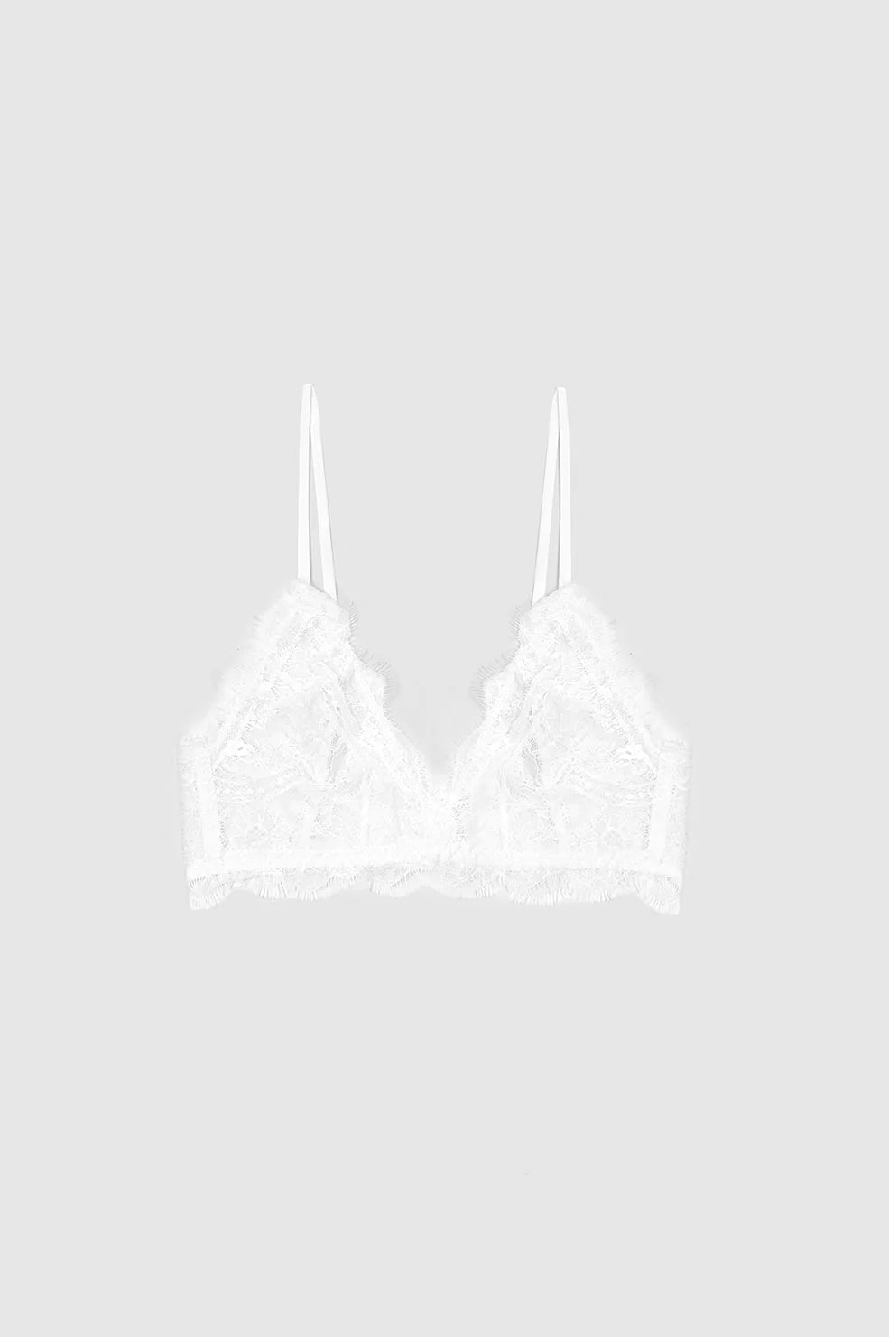 Lace Bra with Trim in Ivory