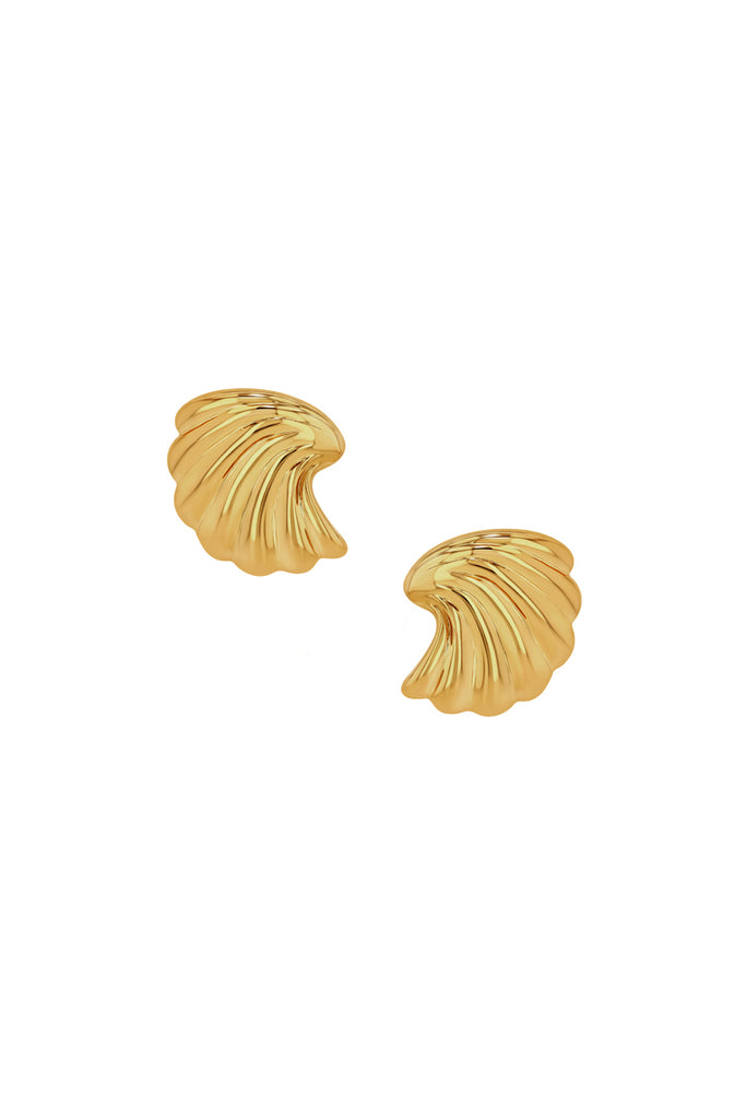 Curved Shell Earrings in Gold