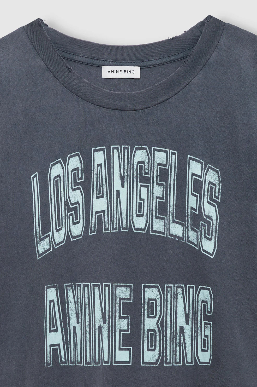 Johnny Cropped Tee in Washed Grey