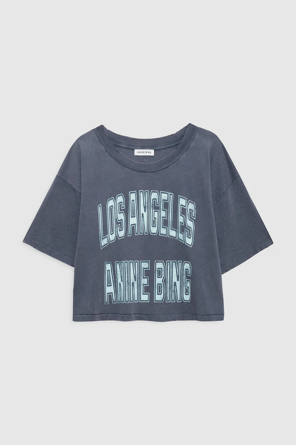 Johnny Cropped Tee in Washed Grey