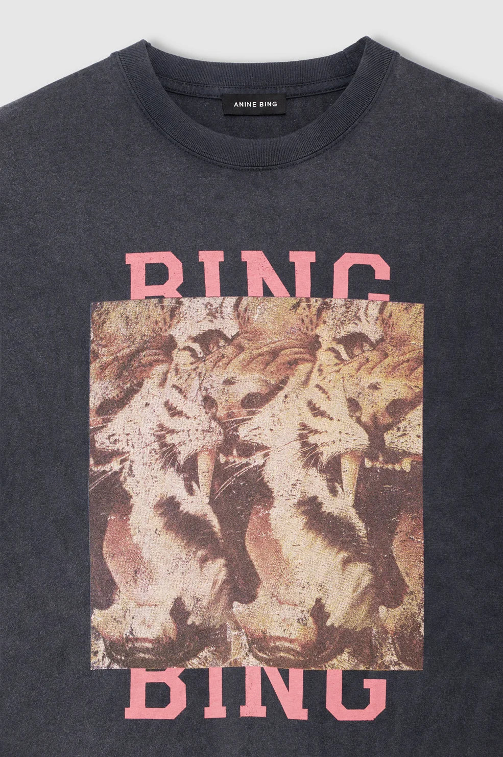 Cade Tee Tiger Bing in Washed Black
