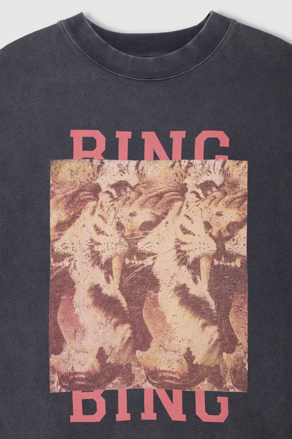 Miles Sweatshirt Tiger Bing in Washed Black