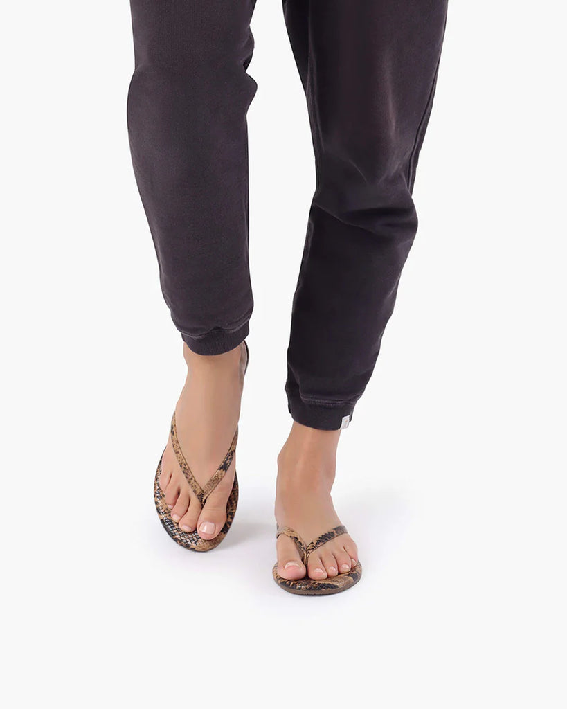 Lily Vegan Animal in Coco Snake
