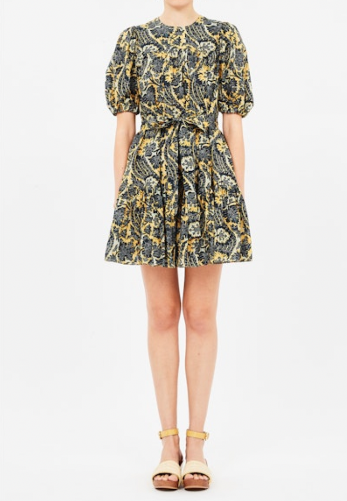 Rosalie Short Sleeve Mini Dress in Luna
