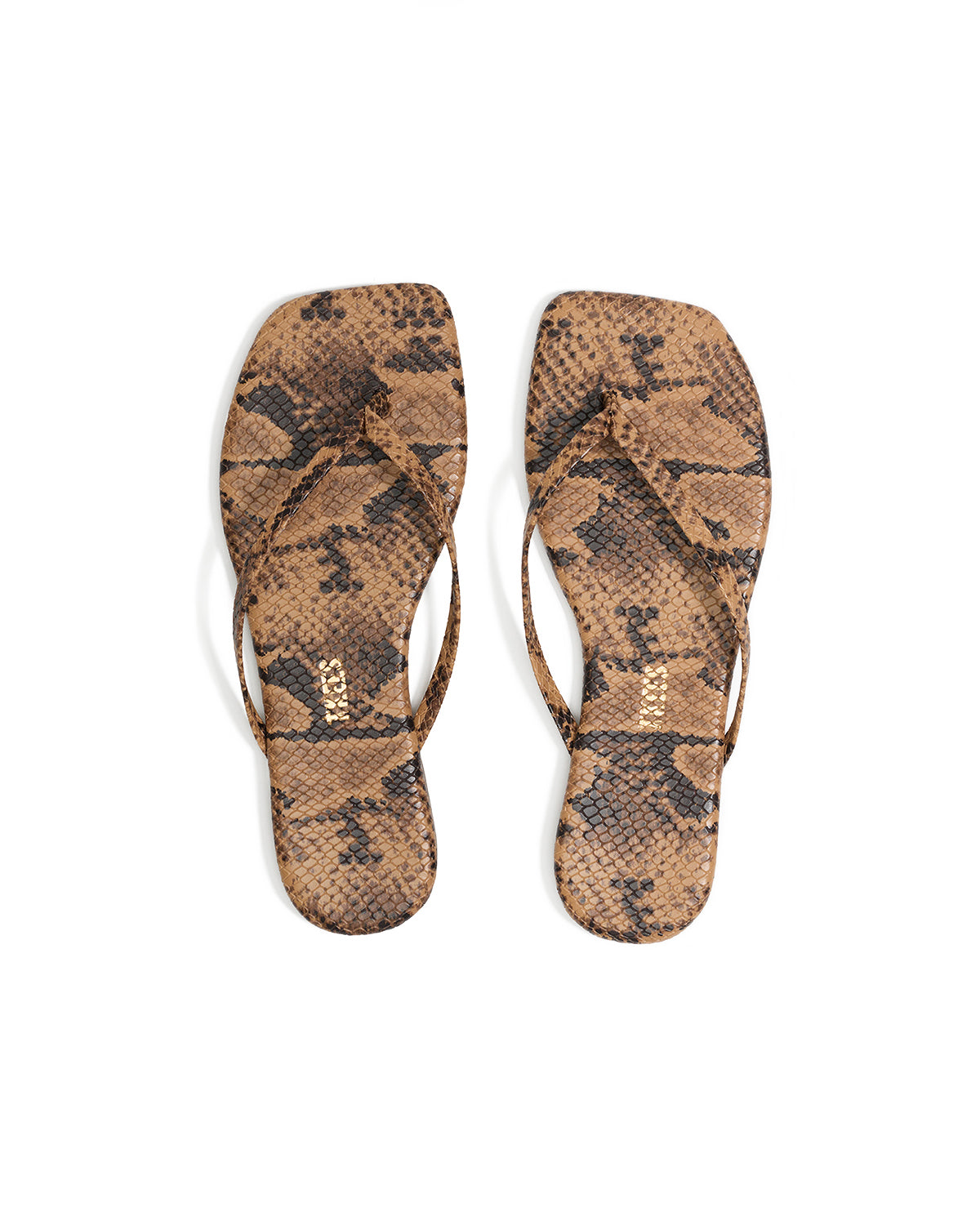 Square Toe Exotics in Coco Snake