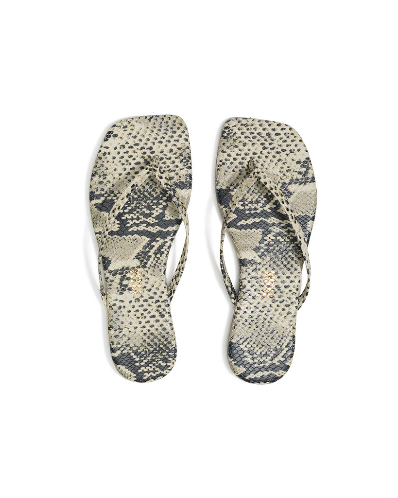 Square Toe Exotics in Sandsnake