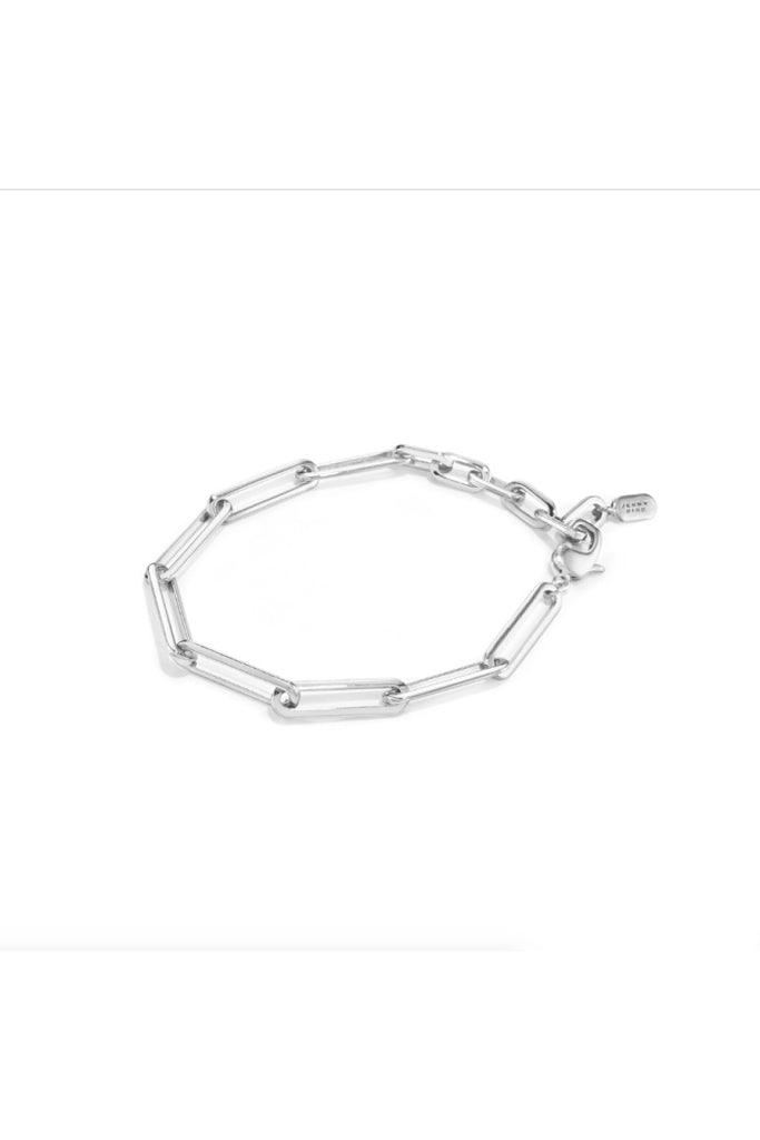 Stevie Anklet in Silver